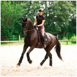 ABUS PIKEUR Reithelme<Reithelm AirLuxe Chrome Long Vizor