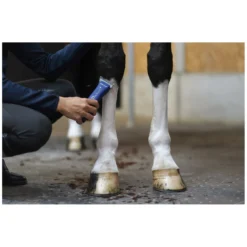Loesdau Schermaschinen & Zubehör<AESCULAP Akku-Schermaschine Durati Horse