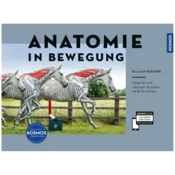 Loesdau Bücher & Multimedia<Anatomie in Bewegung - Gangarten und Lektionen verstehen