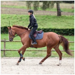 Damen ARIAT Reitjacken<Daenjacke Breath