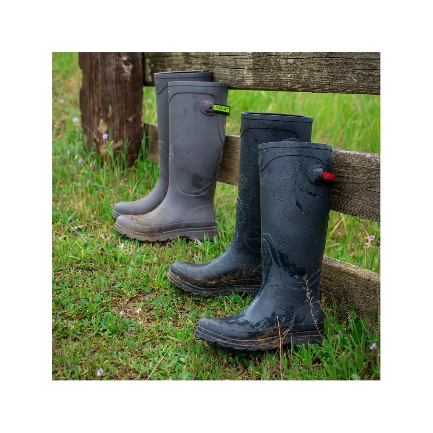 ARIAT Gummistiefel<Gummistiefel Kelmarsh