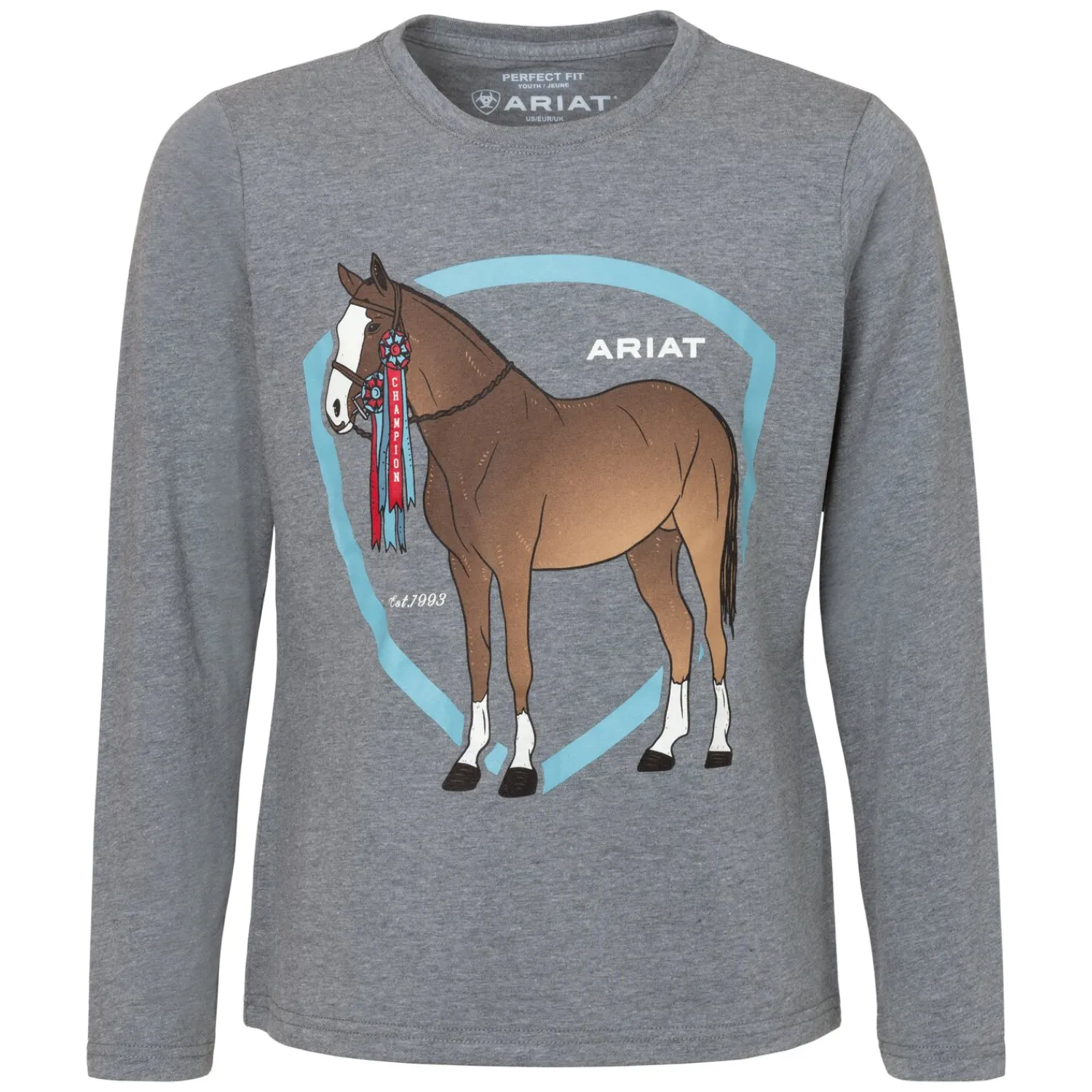 Kinder Loesdau Pullover & Hoodies<ARIAT Langarmshirt Champion Pony