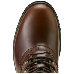 ARIAT Freizeitschuhe|Winterreitstiefel & -Schuhe<Outdoorstiefel Wythburn II
