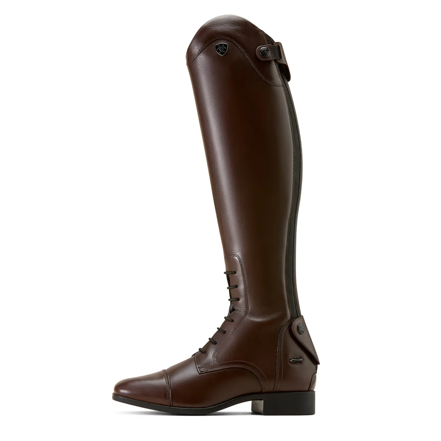 ARIAT Lederreitstiefel<Reitstiefel Palisade Field