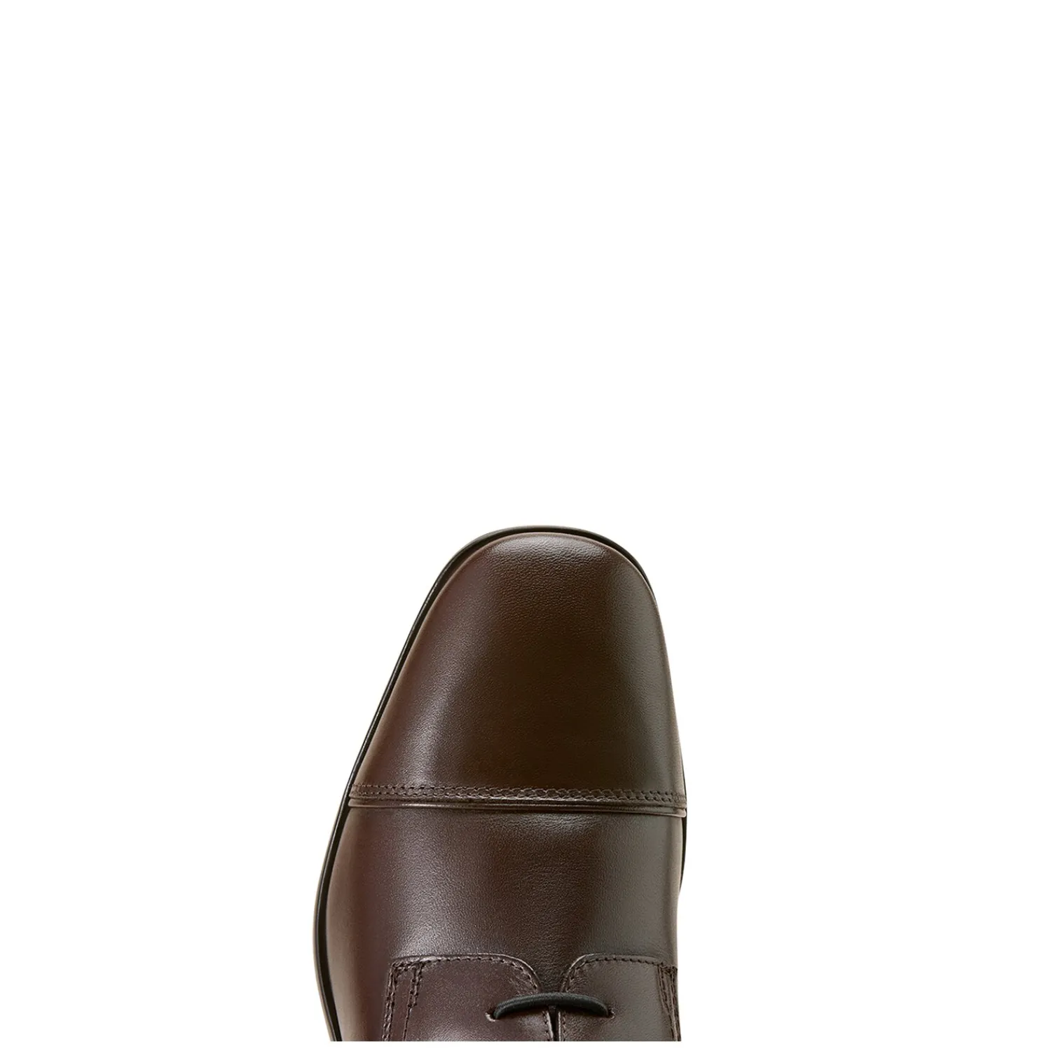 ARIAT Lederreitstiefel<Reitstiefel Palisade Field