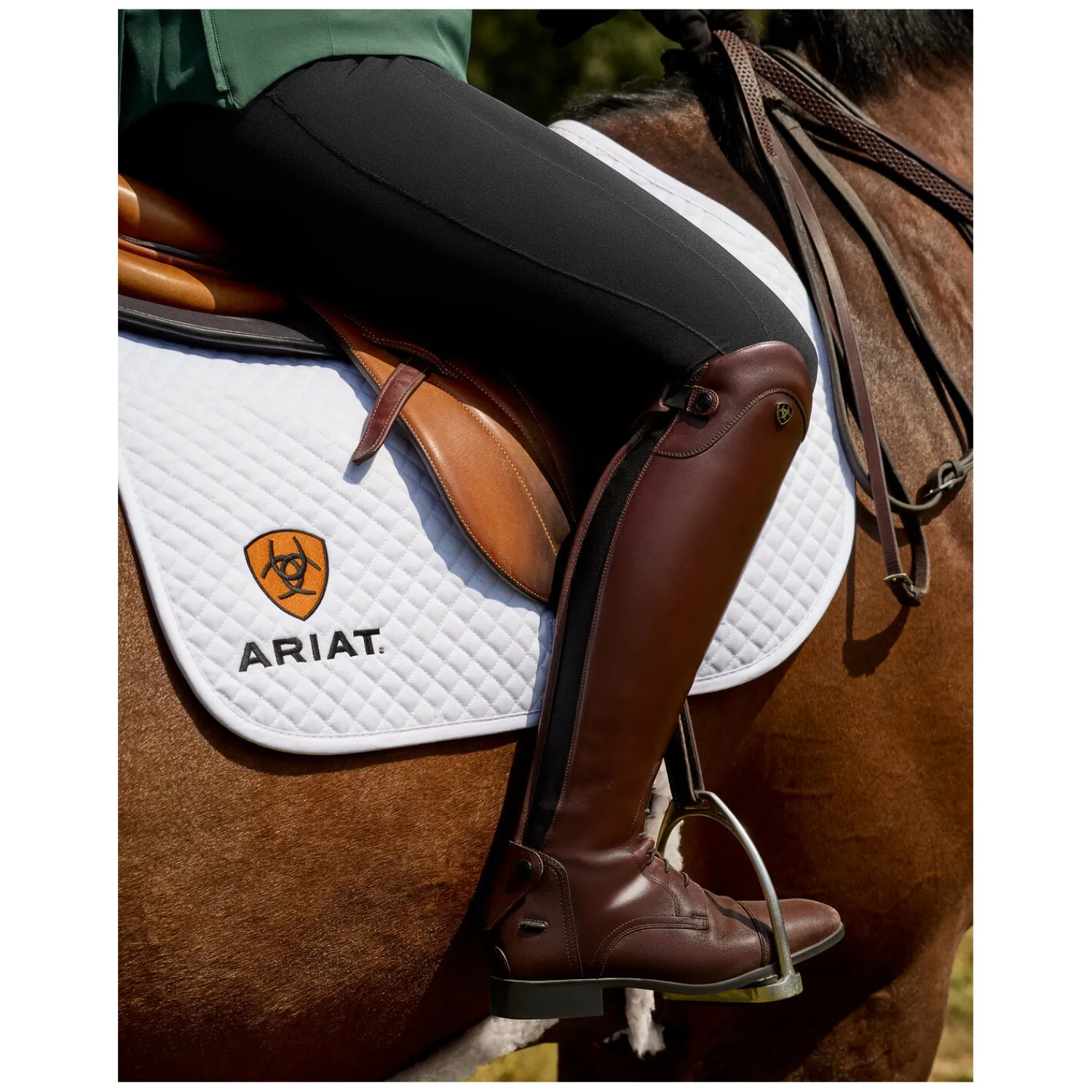 ARIAT Lederreitstiefel<Reitstiefel Palisade Field