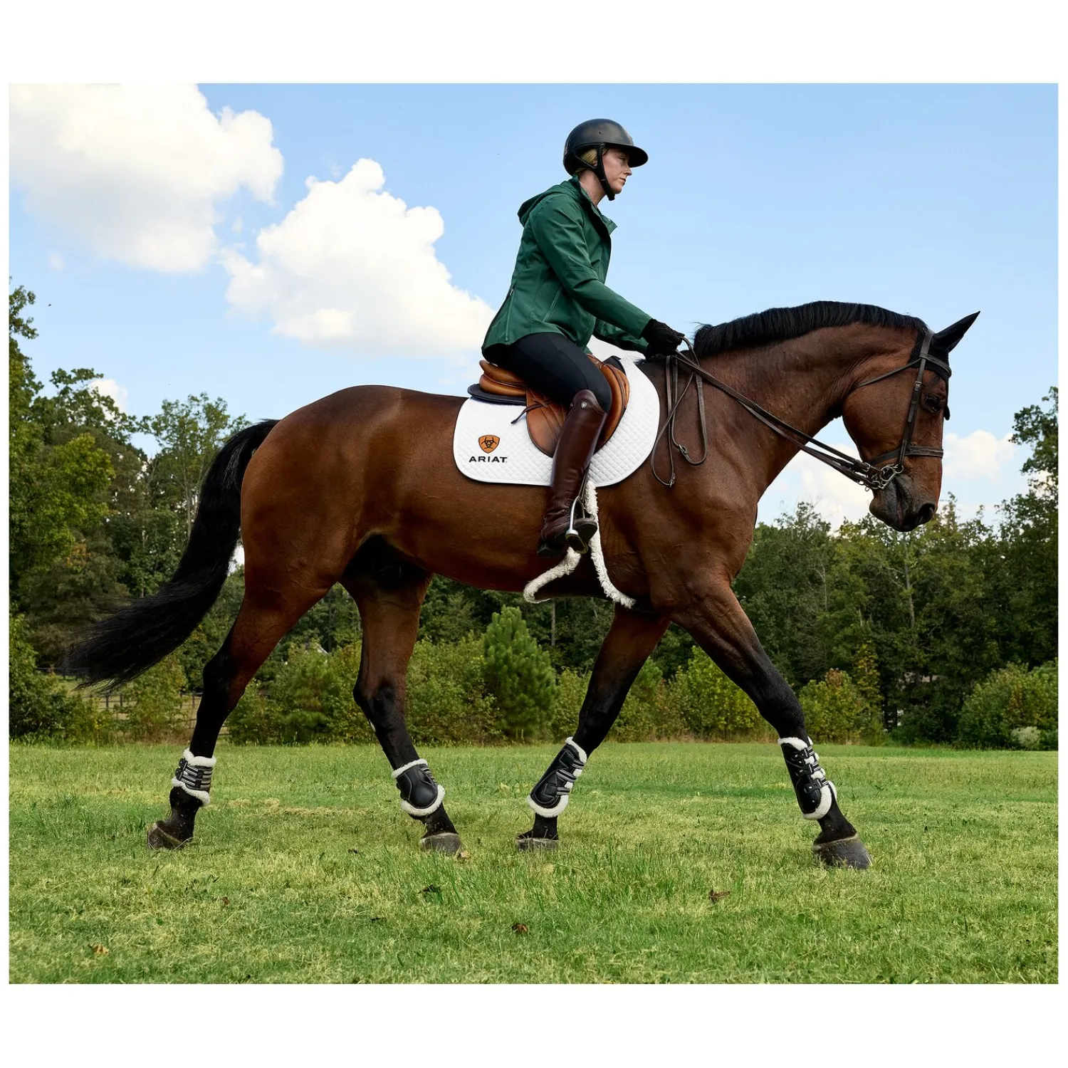 ARIAT Lederreitstiefel<Reitstiefel Palisade Field
