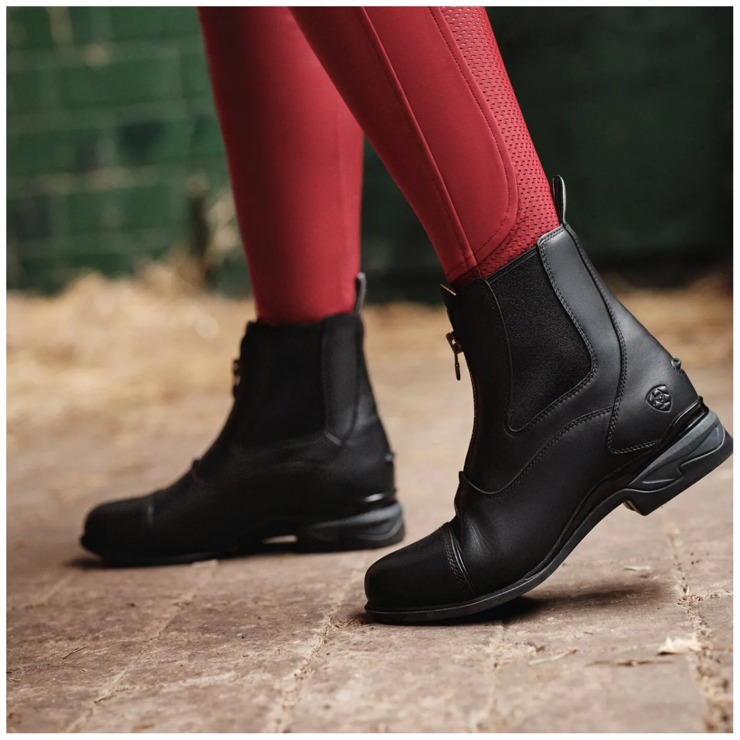 Loesdau Reitstiefeletten<ARIAT Stiefelette Devon Zip Paddock