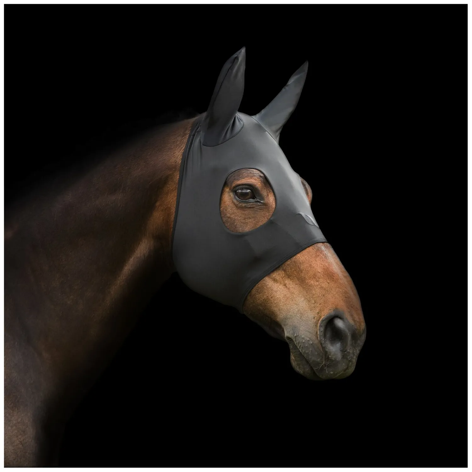 Back on Track Therapie<Therapiemaske Spirit Calming Maske