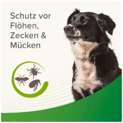 Loesdau Hundehalsbänder<beaphar Floh- und Zeckenhalsband