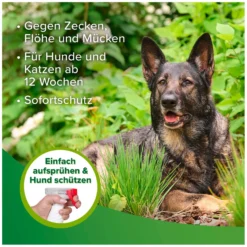 Loesdau Pflegeprodukte<beaphar Zecken- und Flohschutz Spray