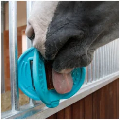 Loesdau Pferdespielzeug<Bizzy HORSE Ball, für Pferde