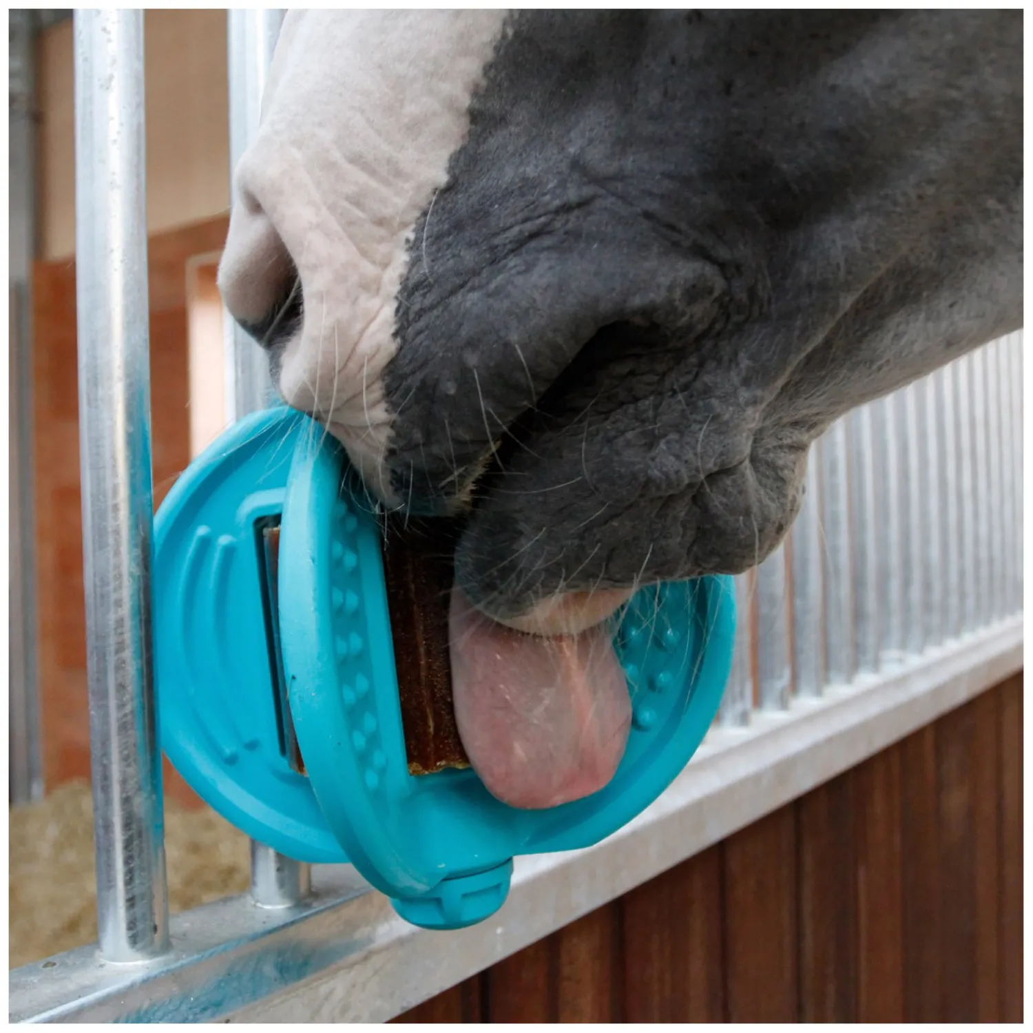 Loesdau Pferdespielzeug<Bizzy HORSE Ball, für Pferde