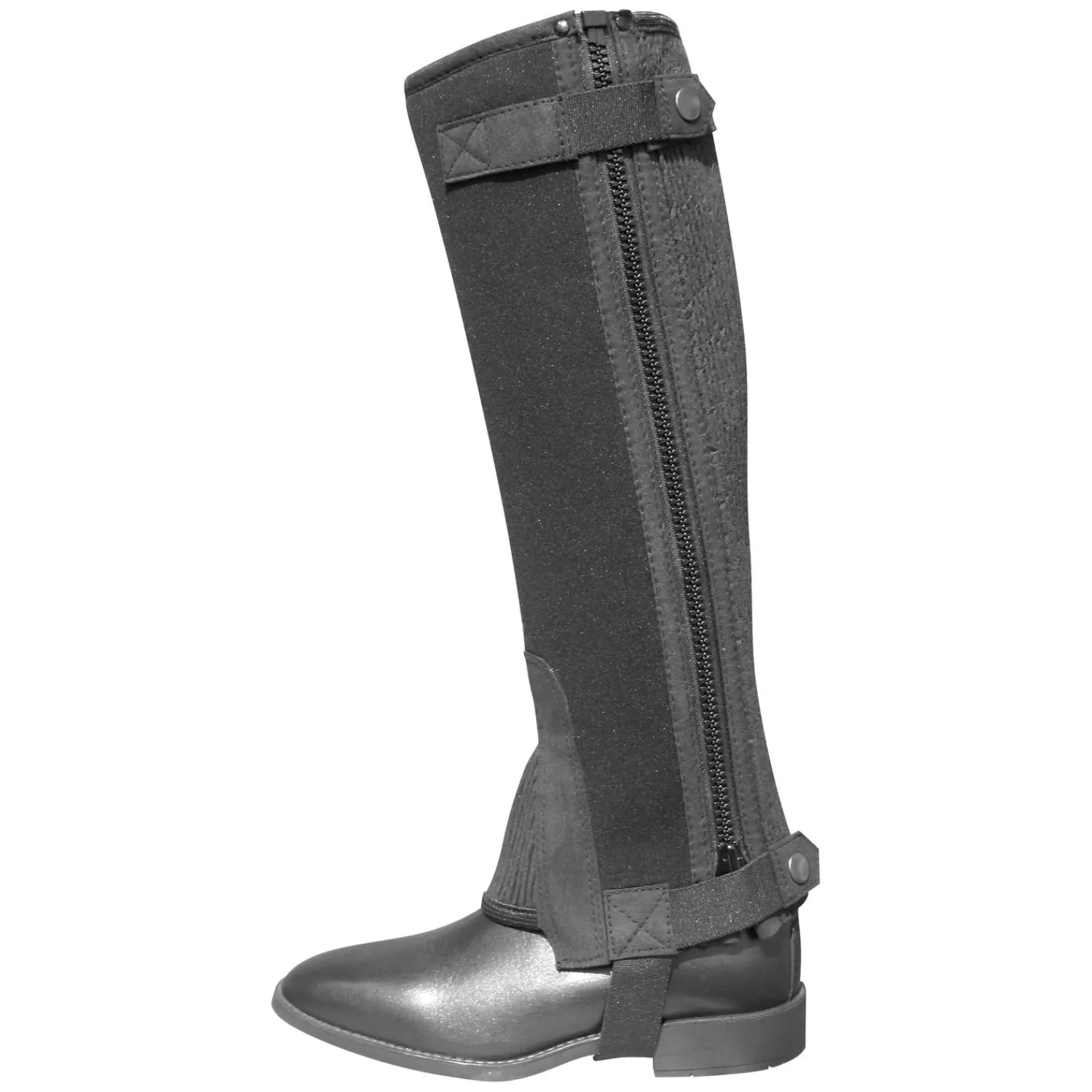 black forest Chaps<Reitetten Winter