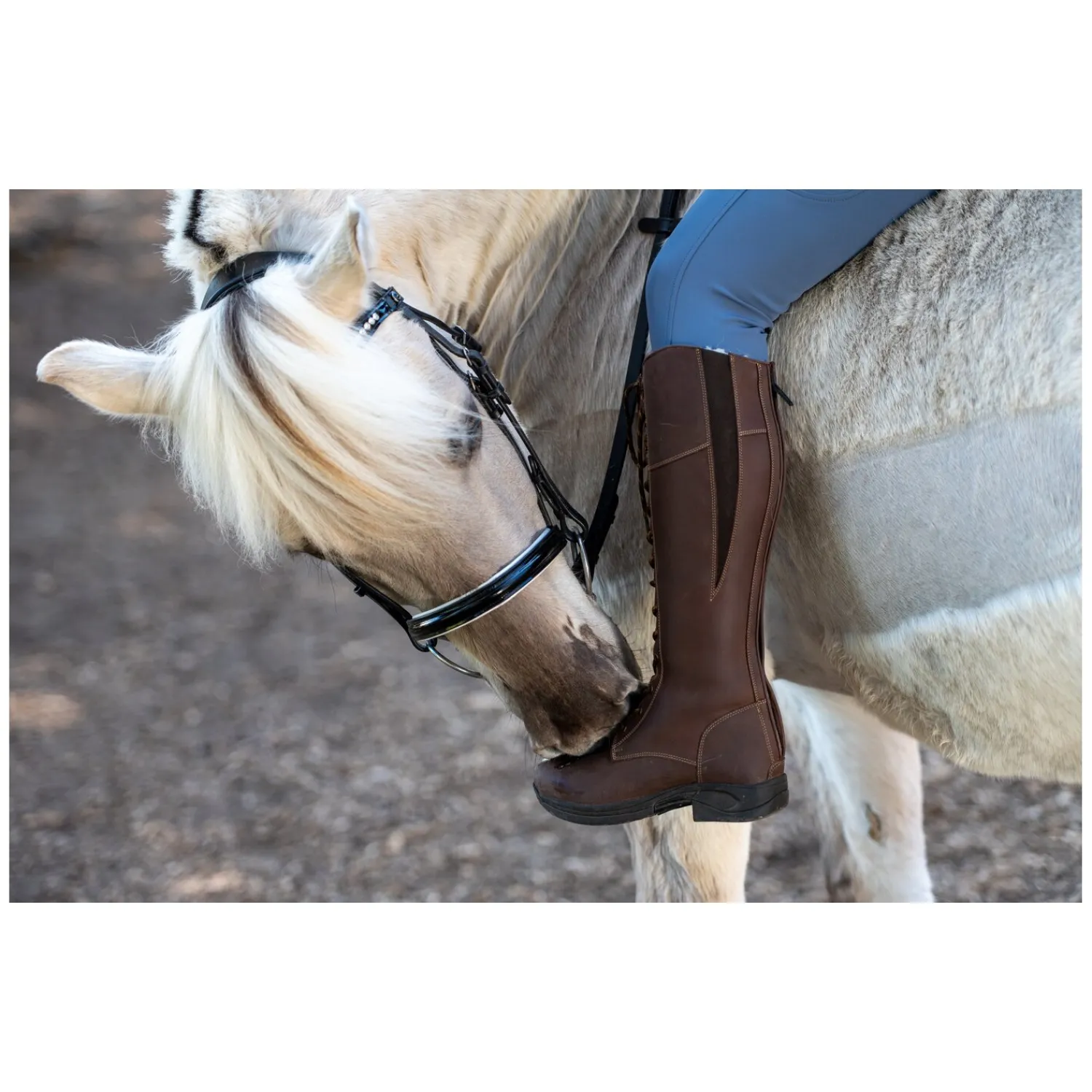 black forest Winterreitstiefel & -Schuhe<Winter-Reitstiefel Stockholm