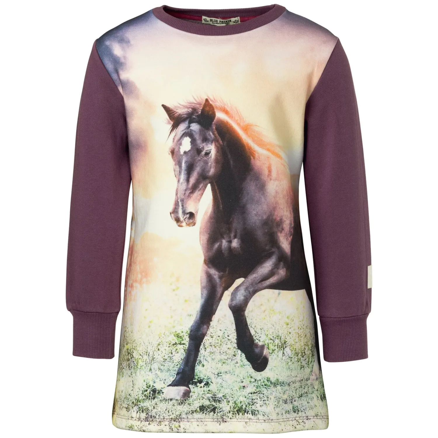 Kinder Loesdau Pullover & Hoodies<BONDI Sweatkleid Pferd
