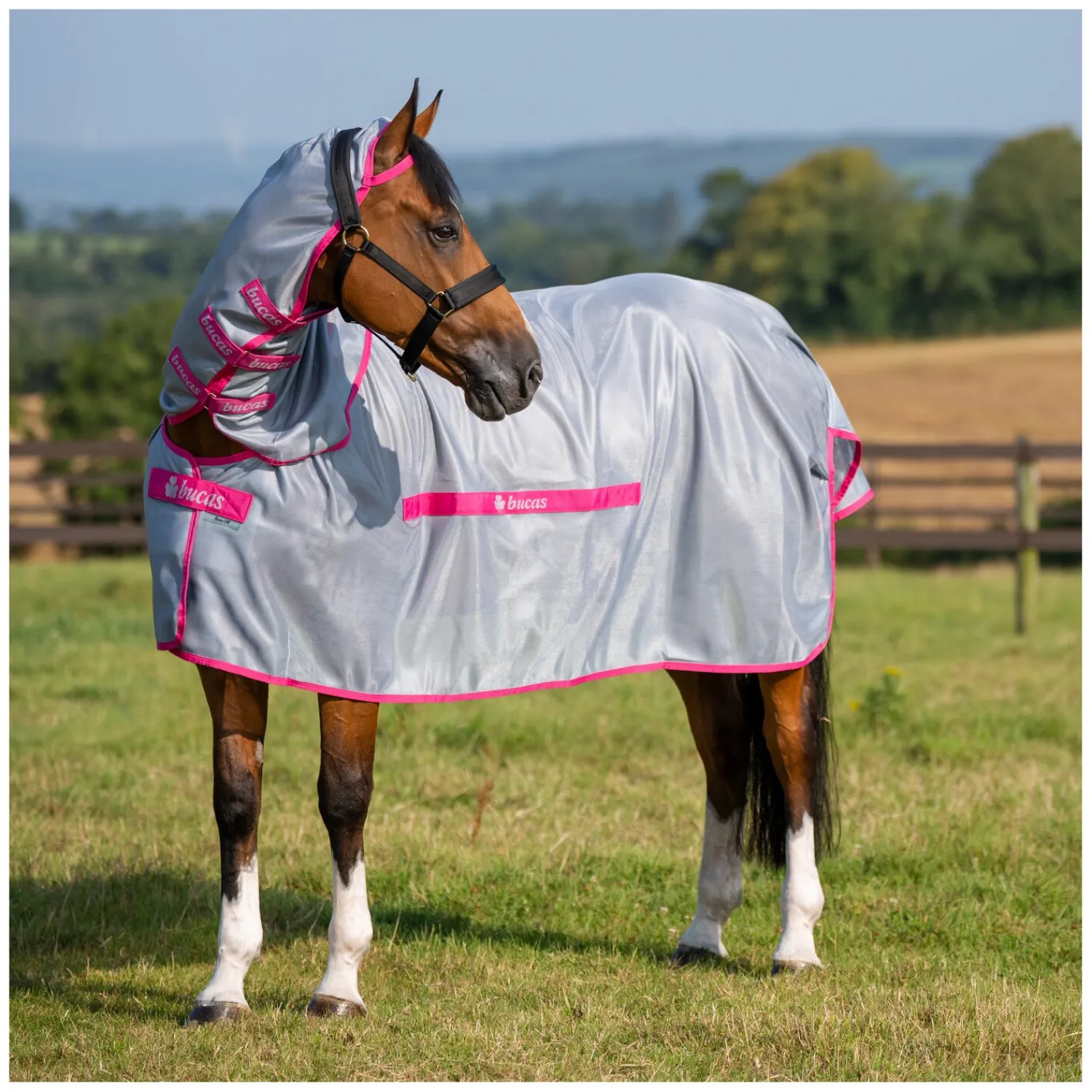 bucas Fliegendecken|Pferdedecken<Fliegendecke Buzz-off Detachable Neck