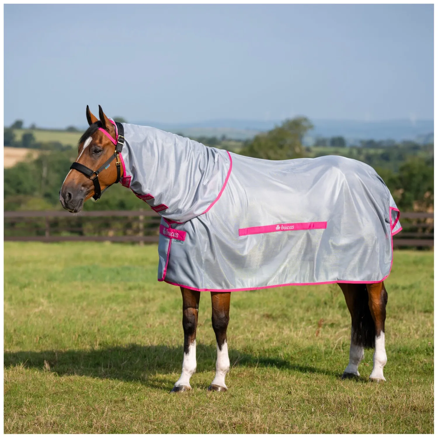 bucas Fliegendecken|Pferdedecken<Fliegendecke Buzz-off Detachable Neck