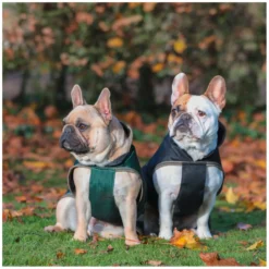 bucas Hundemäntel<Hundemantel Dog Rug Freedom 50 g