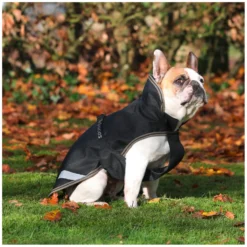 bucas Hundemäntel<Hundemantel Dog Rug Freedom 300 g