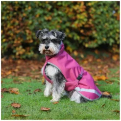 bucas Hundemäntel<Hundemantel Dog Rug Freedom 300 g