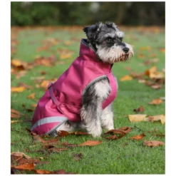 bucas Hundemäntel<Hundemantel Dog Rug Freedom 300 g