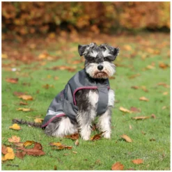 bucas Hundemäntel<Hundemantel Dog Rug Freedom 300 g