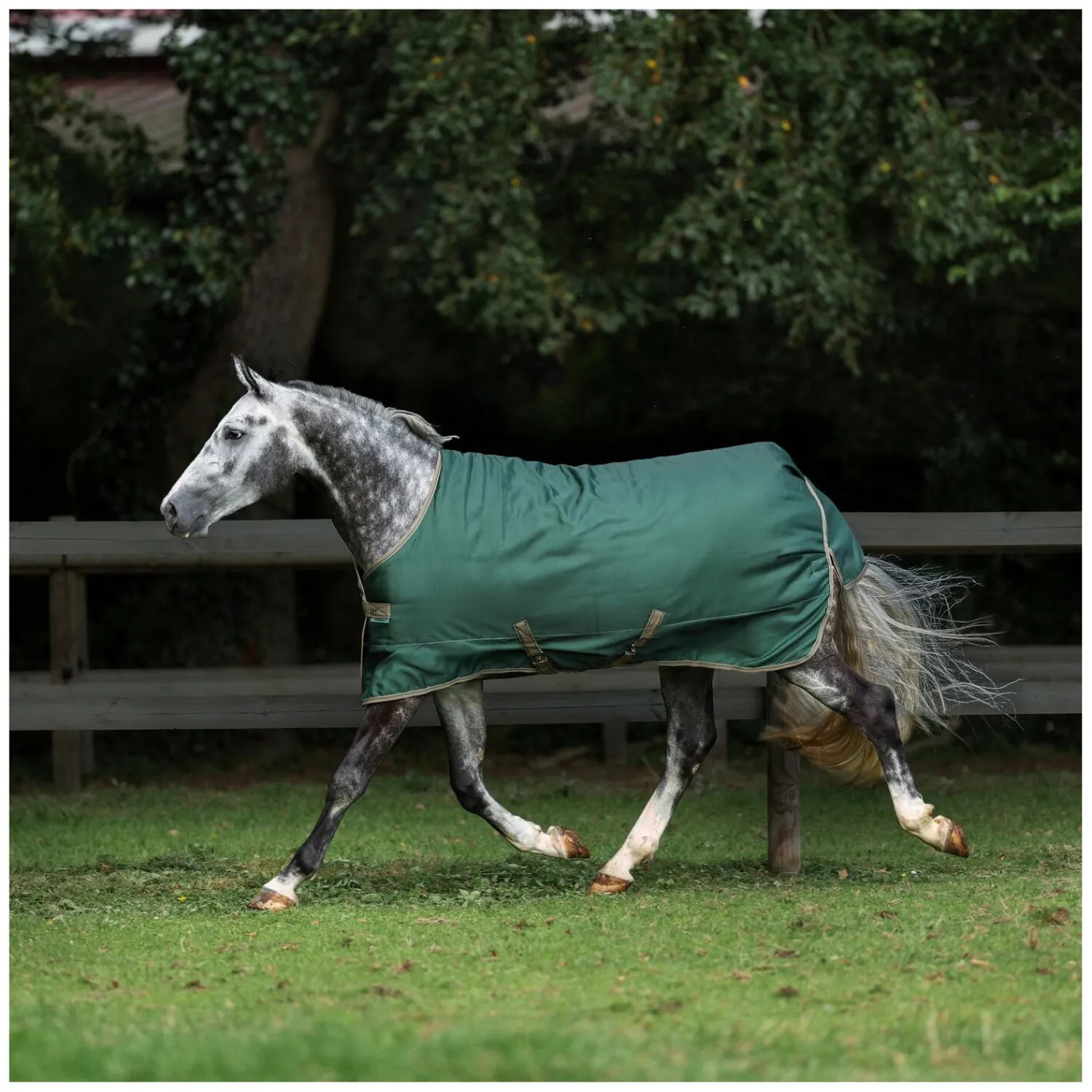 bucas Pferdedecken<Outdoordecke Freedom Turnout