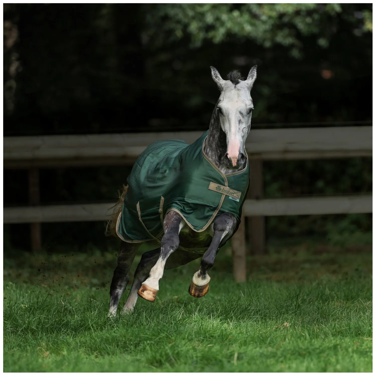 bucas Pferdedecken<Outdoordecke Freedom Turnout