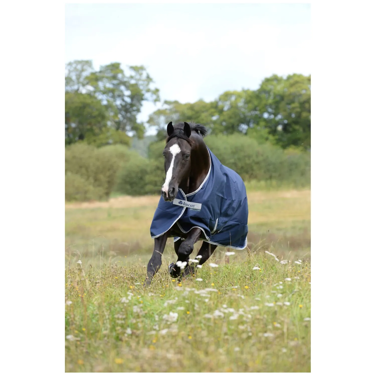 bucas Pferdedecken<Outdoordecke Freedom Turnout 150 g