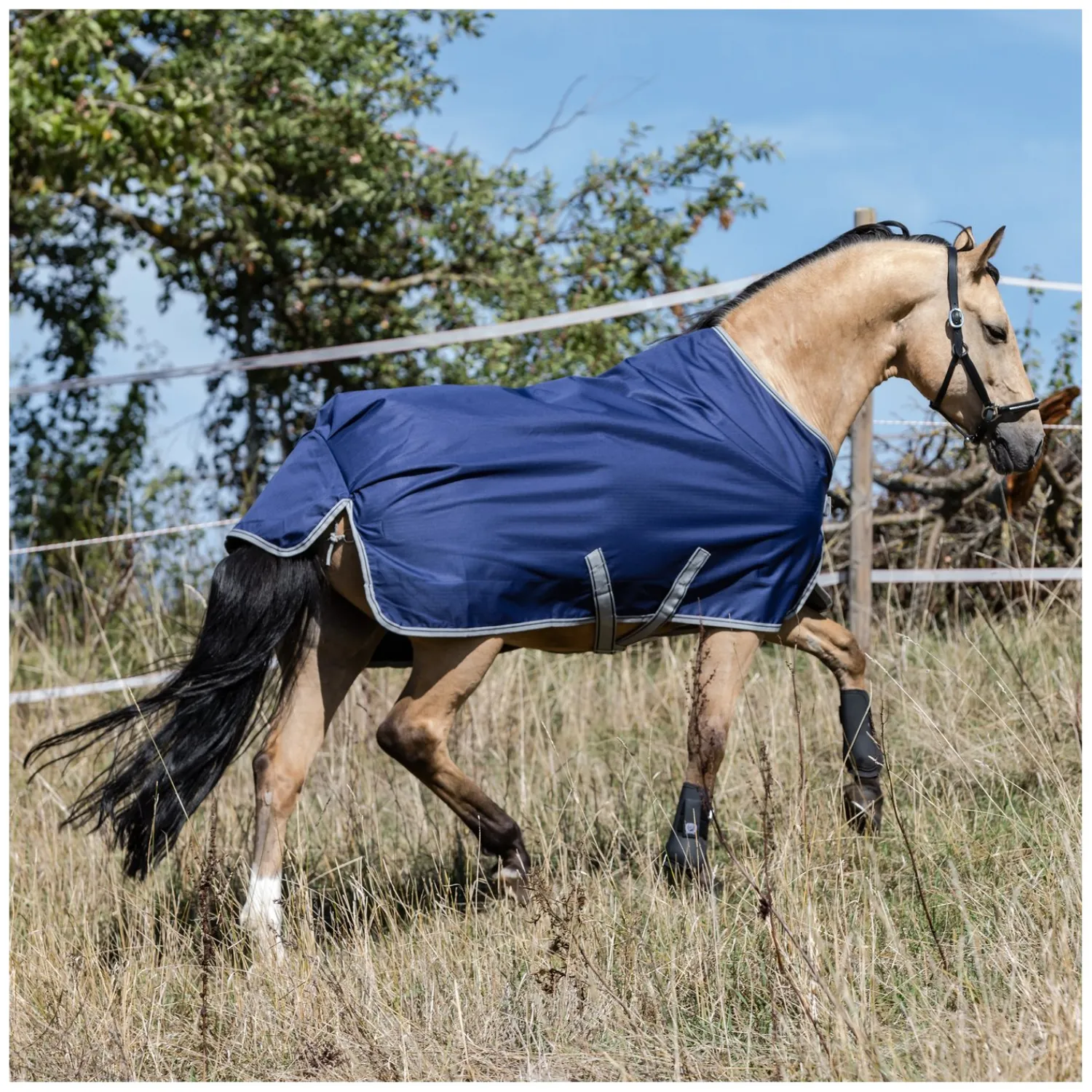 bucas Pferdedecken<Outdoordecke Freedom Turnout Light Pony