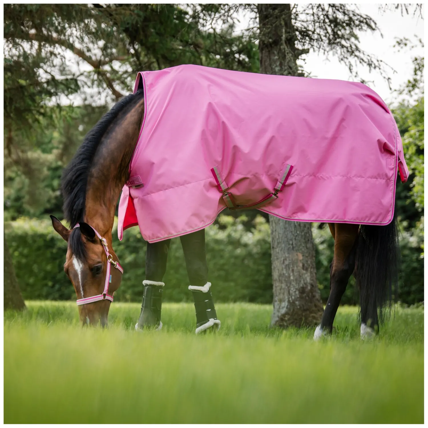 bucas Pferdedecken<Outdoordecke Freedom Turnout Light