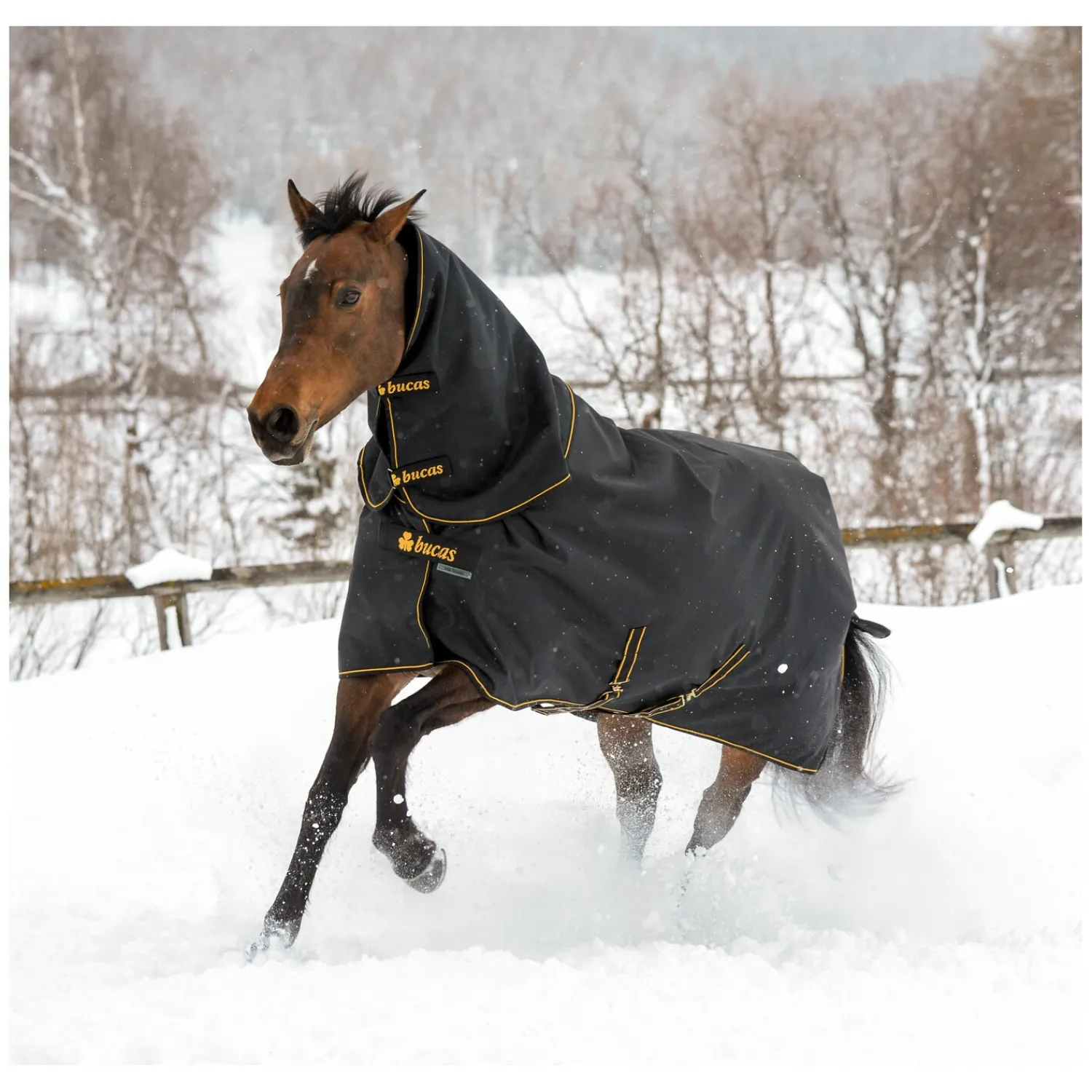 bucas Pferdedecken<Outdoordecke Irish Turnout 150 g