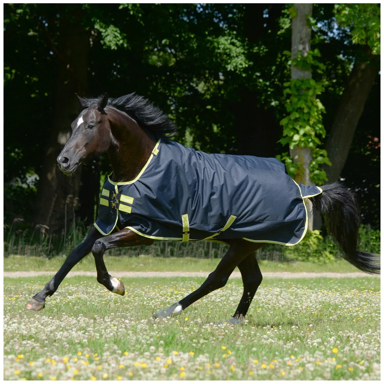 bucas Pferdedecken<Outdoordecke Oasis Turnout