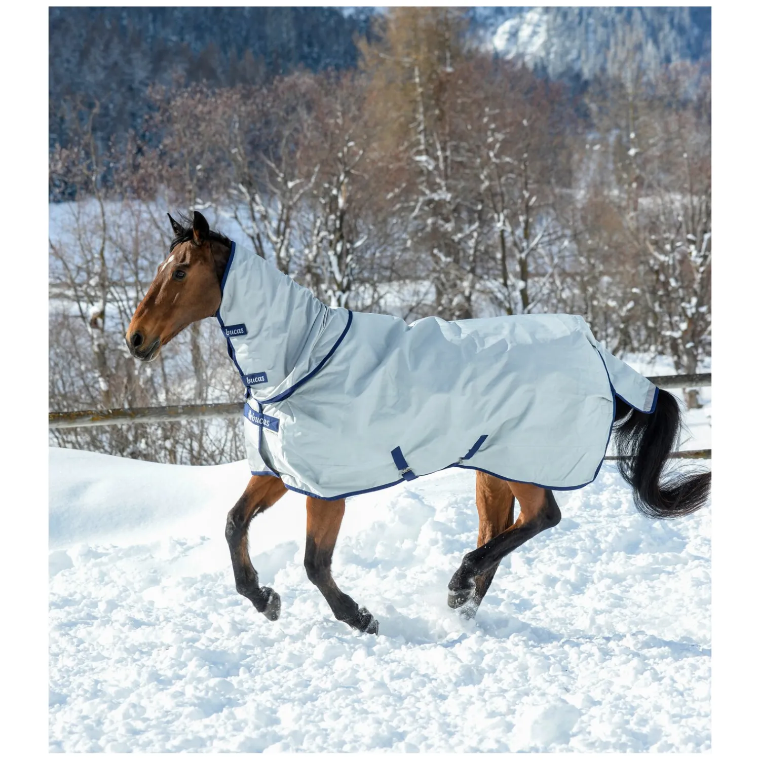 bucas Pferdedecken<Outdoordecke Power Turnout Classic Light