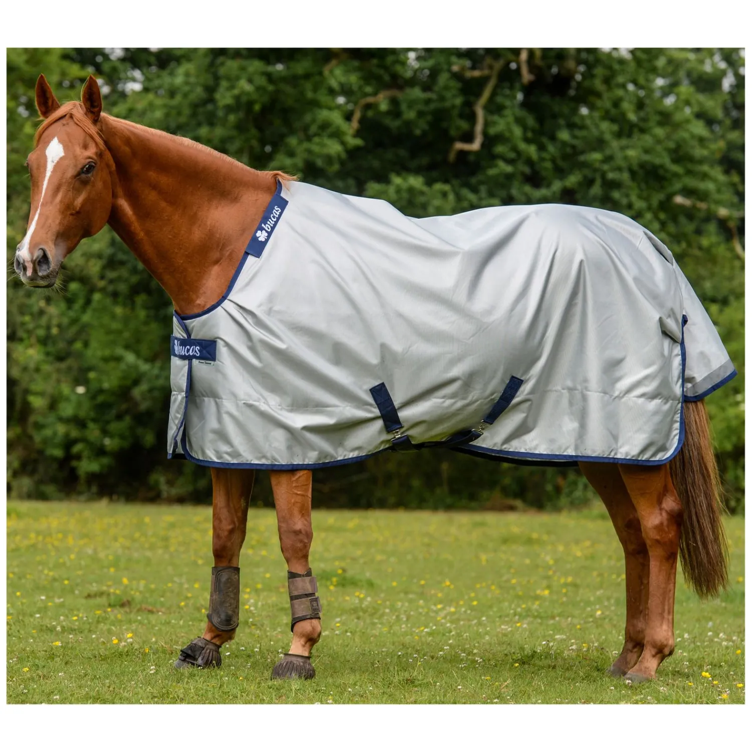 bucas Pferdedecken<Outdoordecke Power Turnout Classic Light