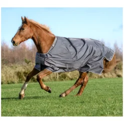 Loesdau Pferdedecken<bucas Outdoordecke Smartex Rain