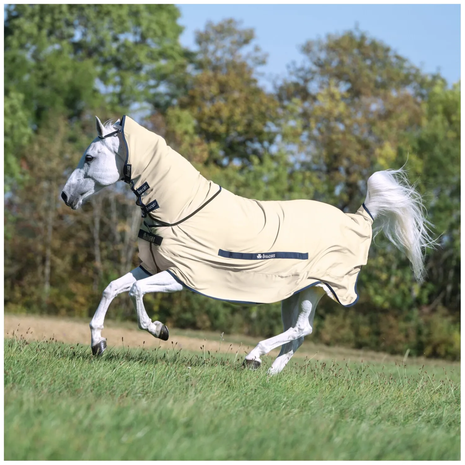 bucas Fliegendecken|Pferdedecken<x Cheval de Luxe Ekzemerdecke