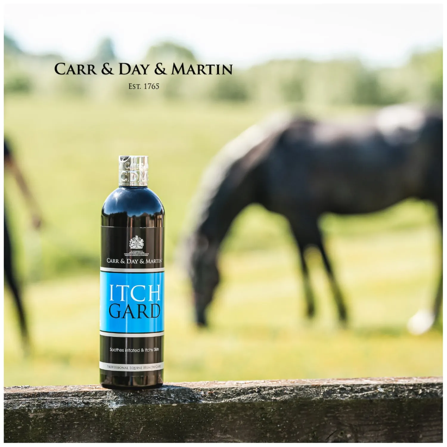 Loesdau Pferdepflege<CARR & DAY & MARTIN ItchGard