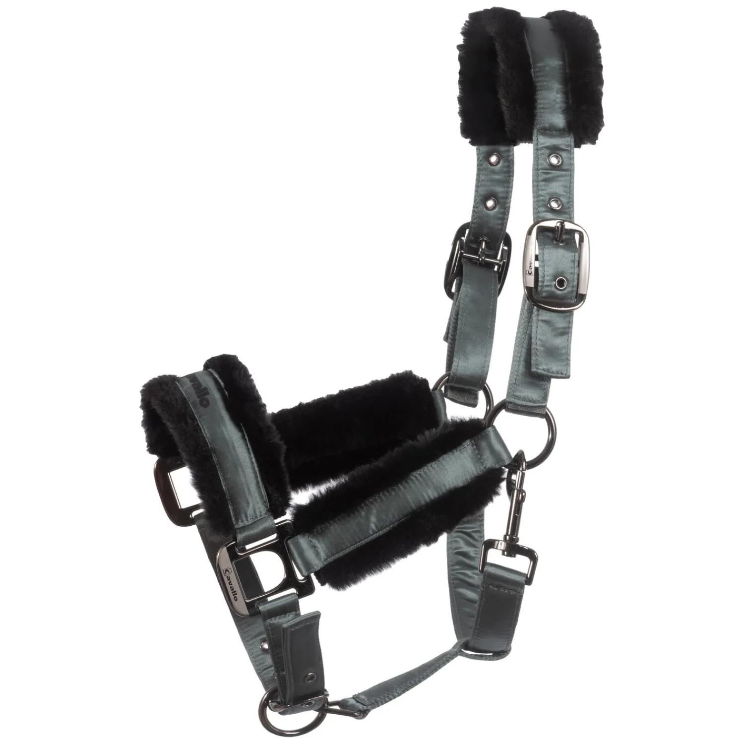 Cavallo Halfter<Halfter CAVALJERO