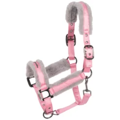 Cavallo Halfter<Halfter CAVALJERO