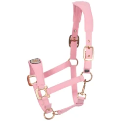 Cavallo Halfter<Halfter CAVALPAWEL