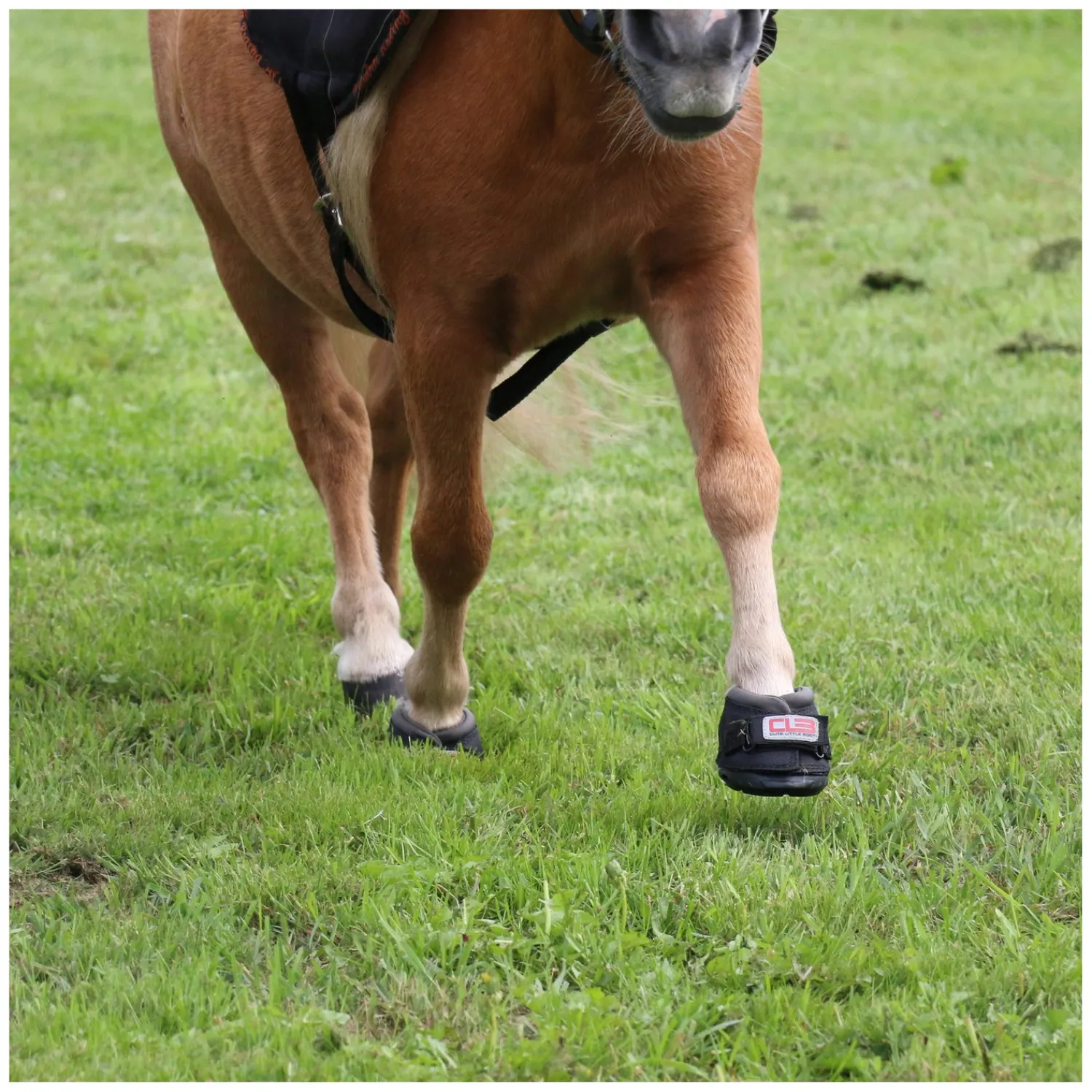Cavallo Horse and Rider Hufschuhe<Hufschuh Cute Little Boot, für Shettys