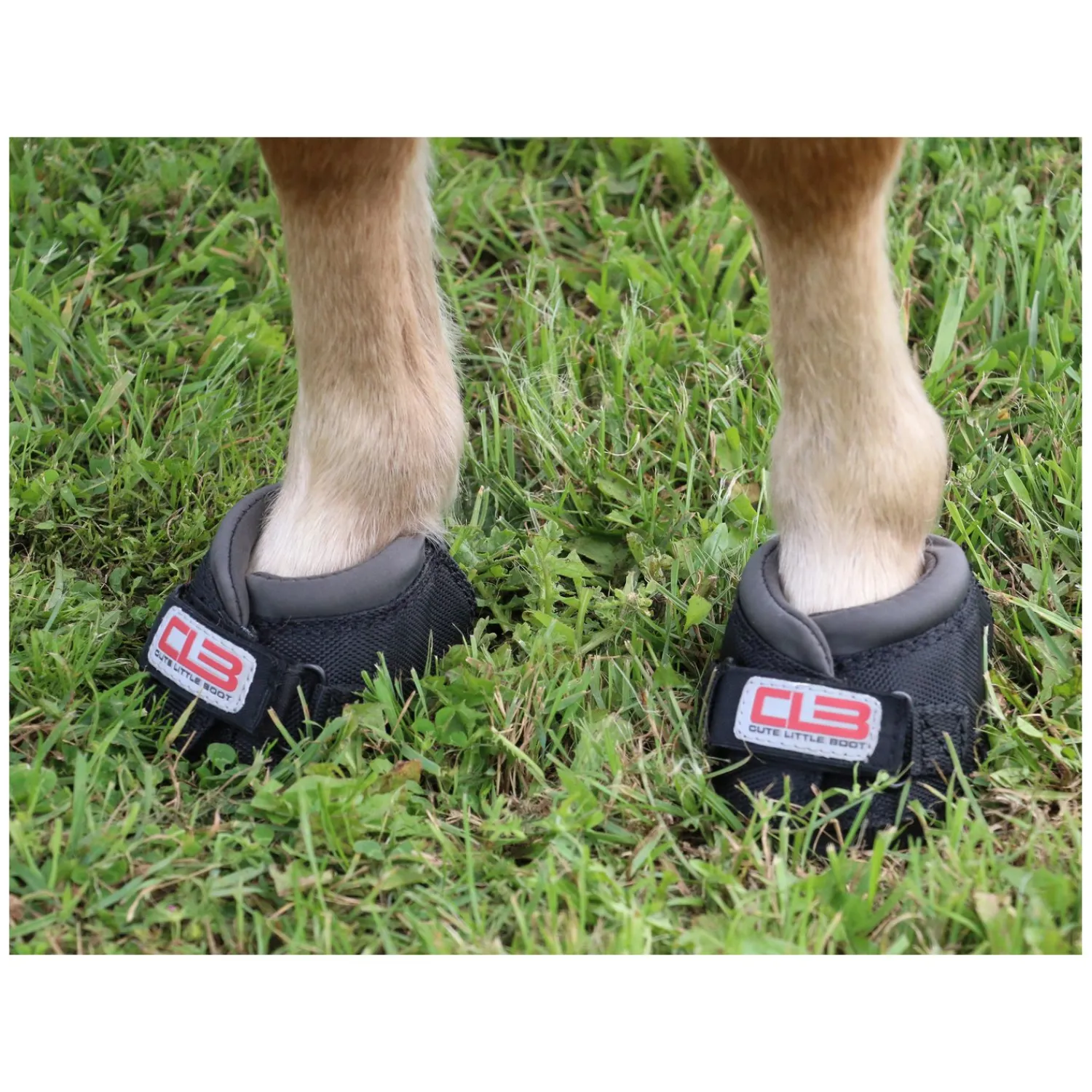 Cavallo Horse and Rider Hufschuhe<Hufschuh Cute Little Boot, für Shettys