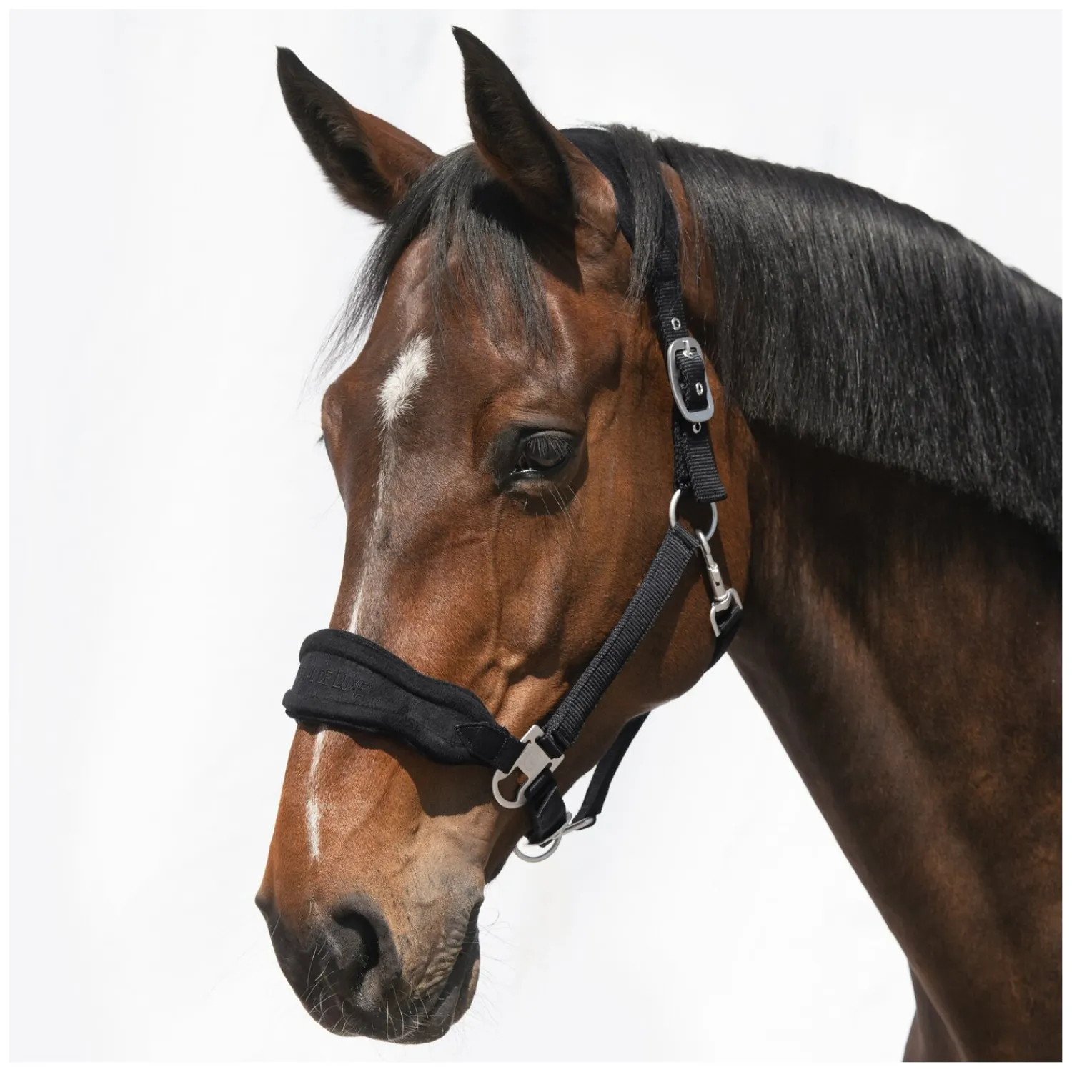 Cheval de Luxe Halfter<Halfter Bayonne