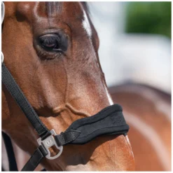 Cheval de Luxe Halfter<Halfter Bayonne