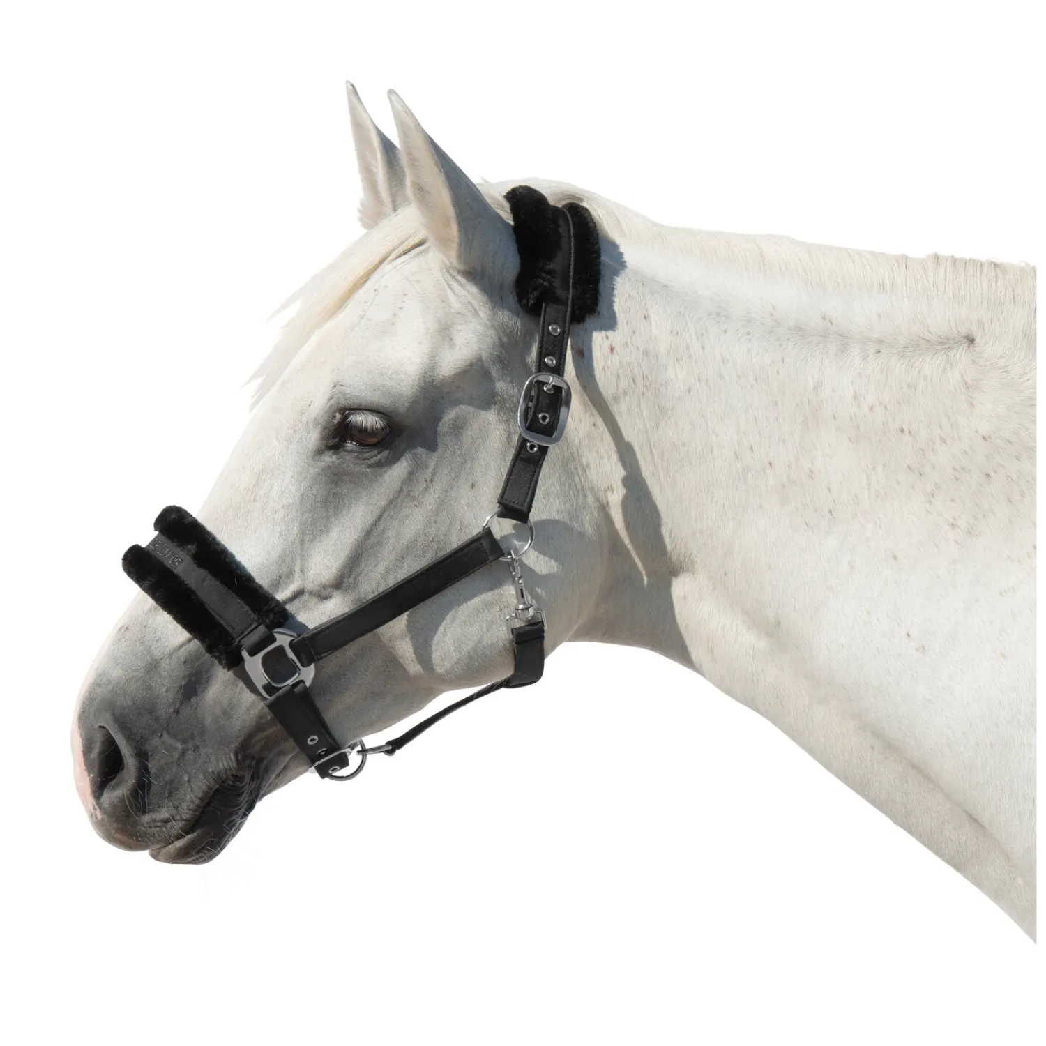 Cheval de Luxe Halfter<Halfter Manila