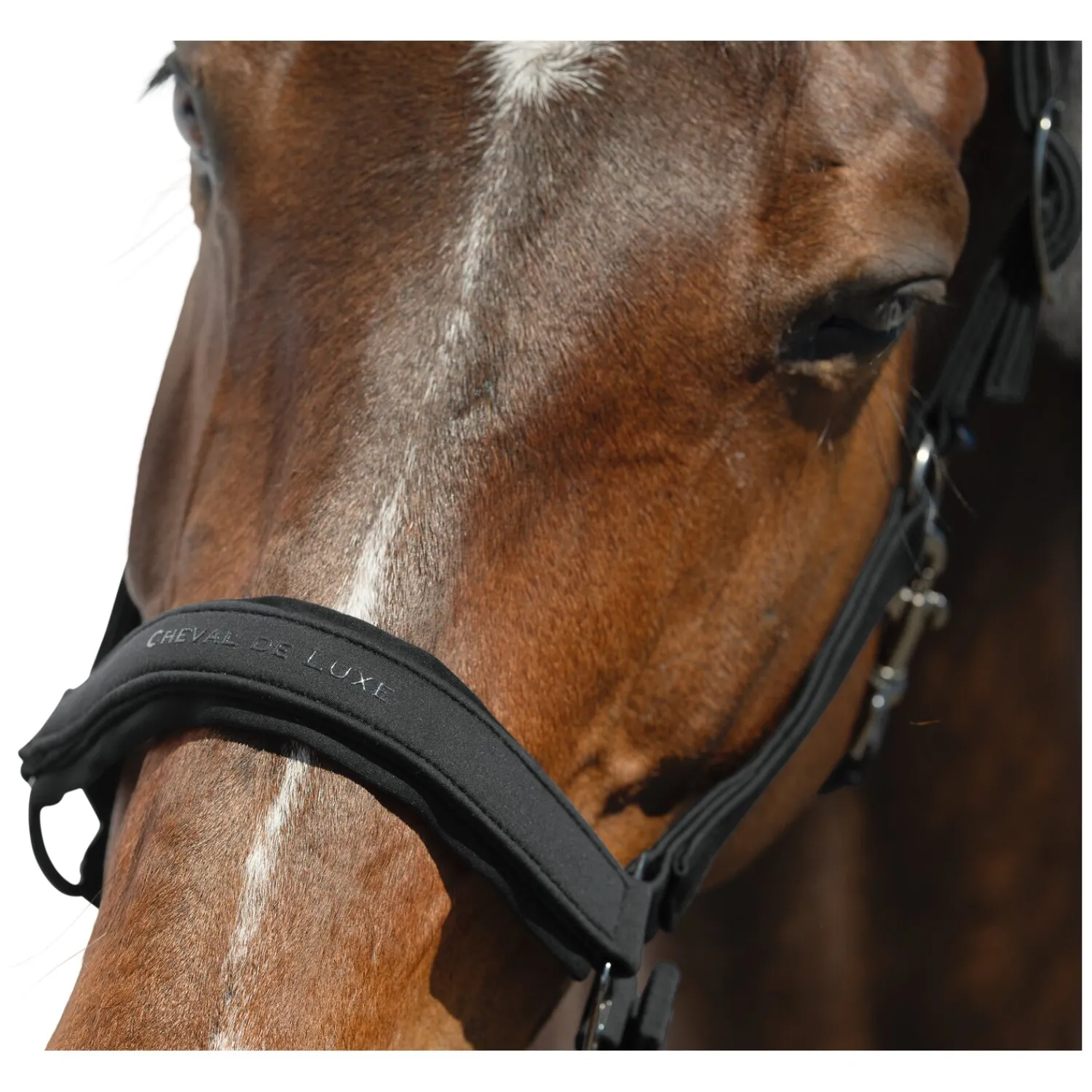 Cheval de Luxe Halfter<Halfter Toulouse