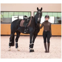 Cheval de Luxe Kandaren<Kandarenzaum San Franciso