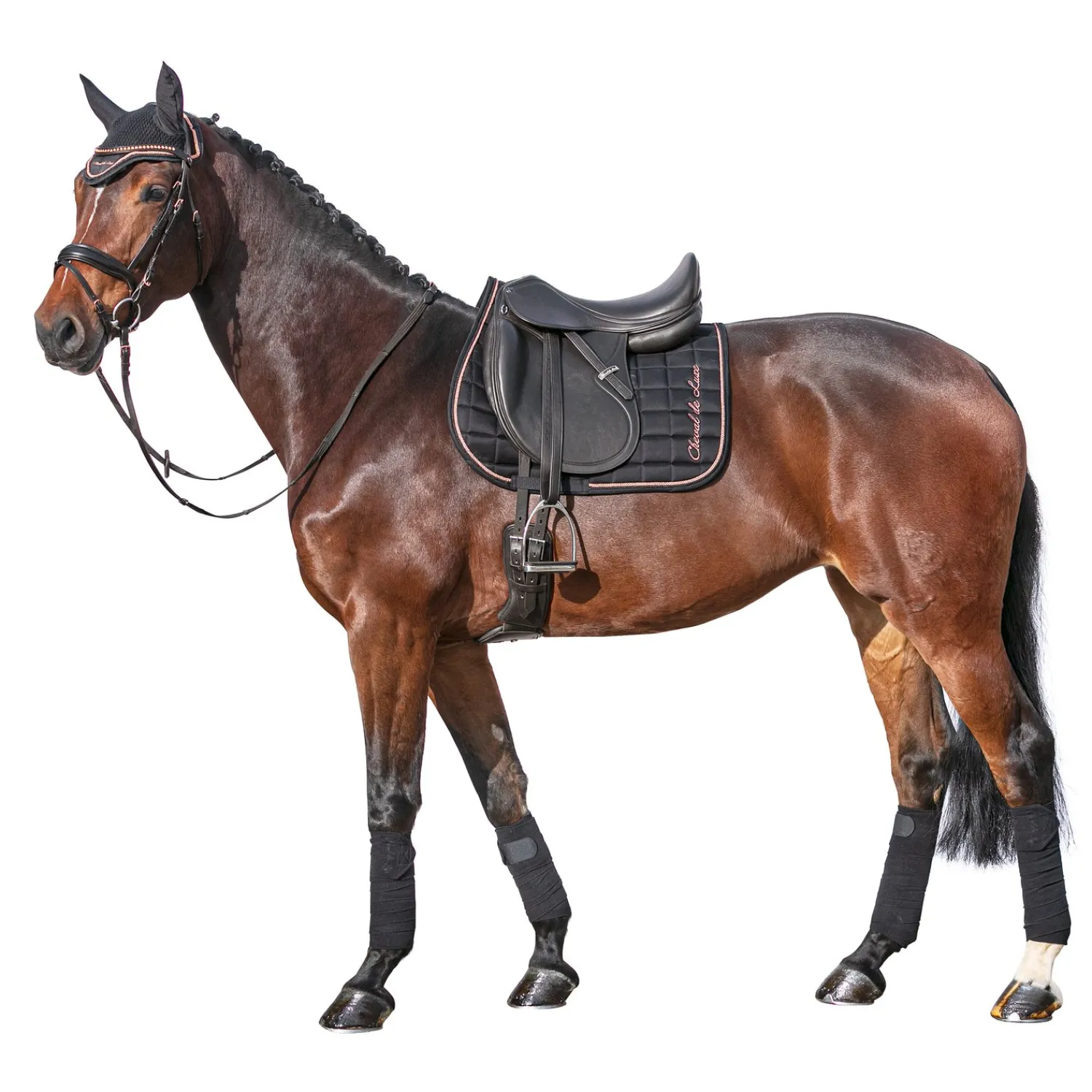 Cheval de Luxe Sättel & Zubehör|Schabracken<Schabracke